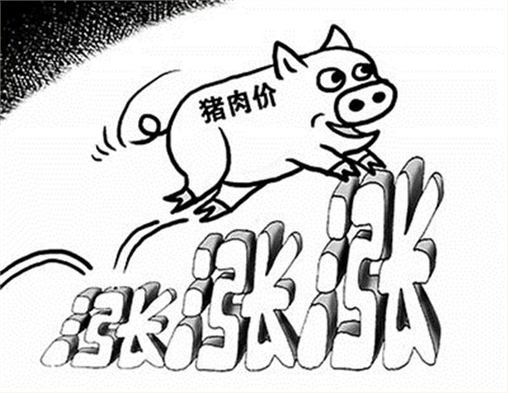 豬肉價格上漲